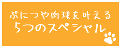 ぷにつや肉球を叶える５つのスペシャル